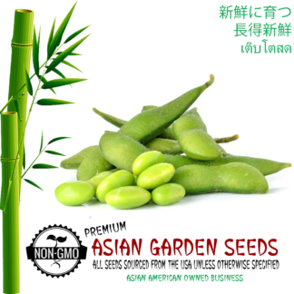 soy bean seeds