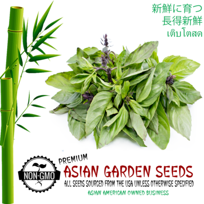 thai-basil-seeds